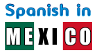 spanish immersion in mexico