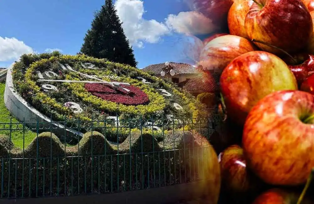 Manzanas